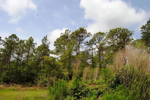Multi Lots Timber Ln .: Multi Lots Timber Ln ., Richlands, NC 28574